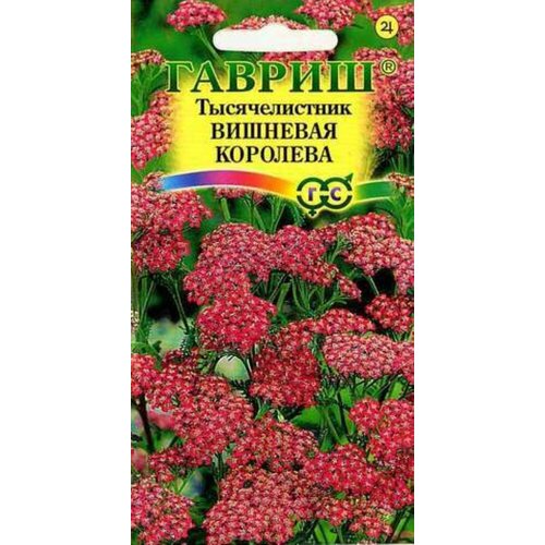 ������ ������ ������ ������������� �������� �������� 0,05� �� 70�� (������) ����