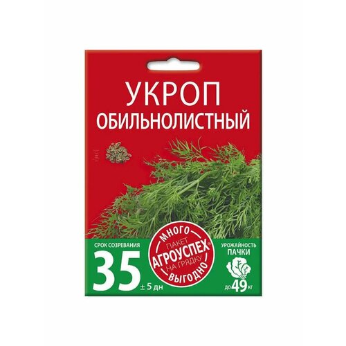 ������ ������ ����� ��������������, ������ ��������� �����-������� 10� ����