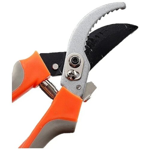 ������ ������ ������� ������� ������������������� ����������� 23 ��. ����