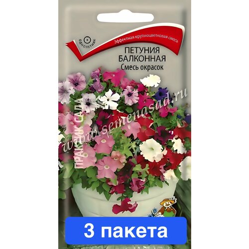 ������ ������ ����� ������� ��������� 3 ������ ����