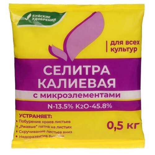 ������ ������ ��������� ������� ��������� ������� �������� � ���������������, 500 �, 1 ��. ����