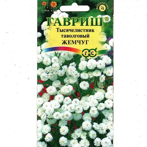 ������ ������ ������������� ������ �����, ������������� ����������� ( ��: 0,05 �) ����