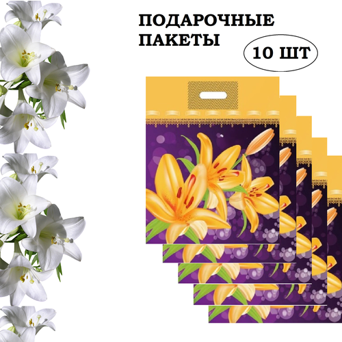 ������ ������ ���������� �����, 10 ��, 37*48*6, �����, 50 ��� ����