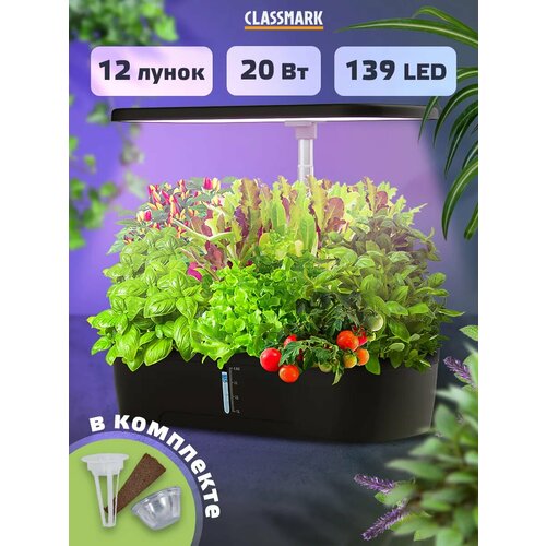 ������ ������ ����������� ������� ����������� �������� � LED ���������� ����