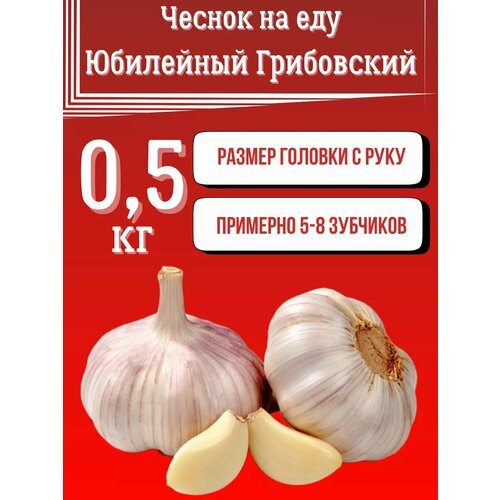 ������ ������ ������ ��� ��� ������. ����