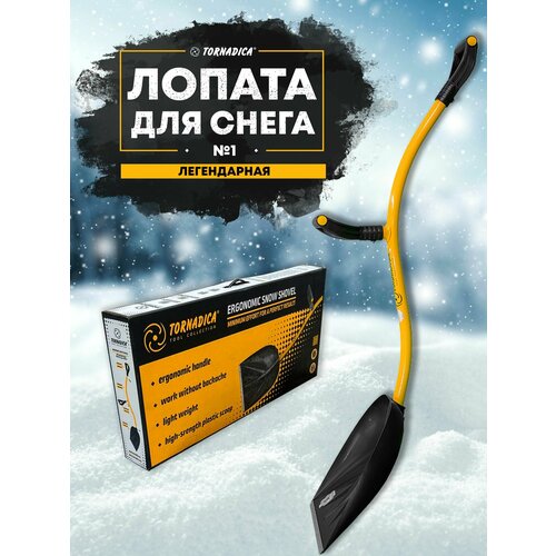 ������ ������ ������ ��� ������ ����� ��������� ����