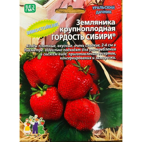 ������ ������ ������ ��������� ������������� 