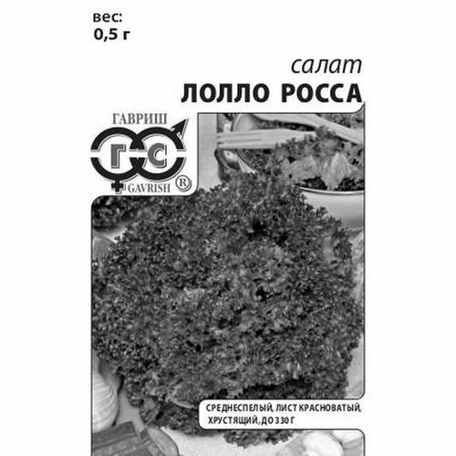 ������ ������ ������ ����� ����� ����� ��, �������� (������) 0,5� �������� ����