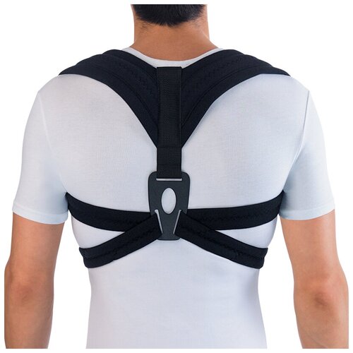 ������ ������ ��������� ������ ORTO �� 103, ������ L/XL, ������ ����