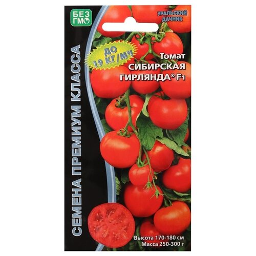 ������ ������ ������ ��������� ������ ����� ��������� �������� F1, 10 �� ����