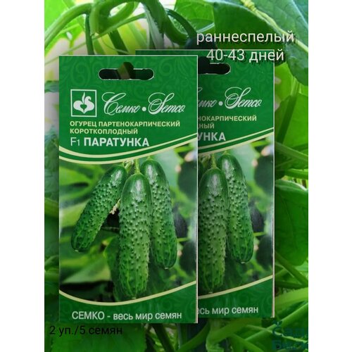 ������ ������ ������ ��������� F1 5�� / 2���� ����