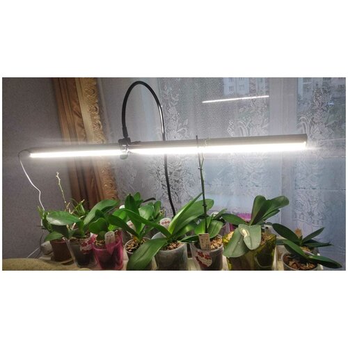 ������ ������ ��������� ��� ��������� ����������, ������ 85 ��, ������ ����