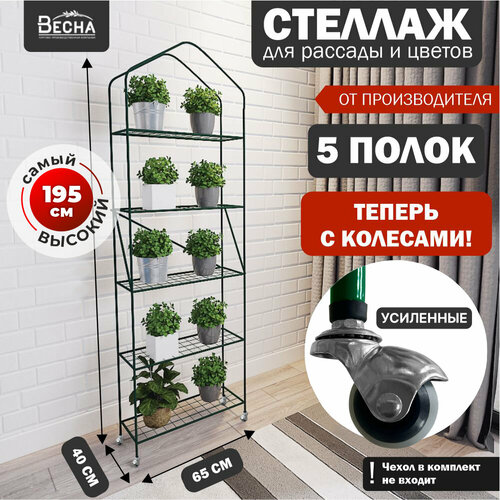 ������ ������ ������� ��� �������� �� ������� 5 ����� ����