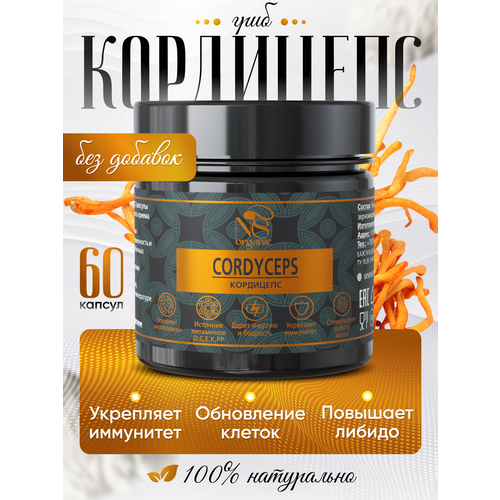 ������ ������ ��������� � �������� �� 500 ��, ��������� 60 ��. ����