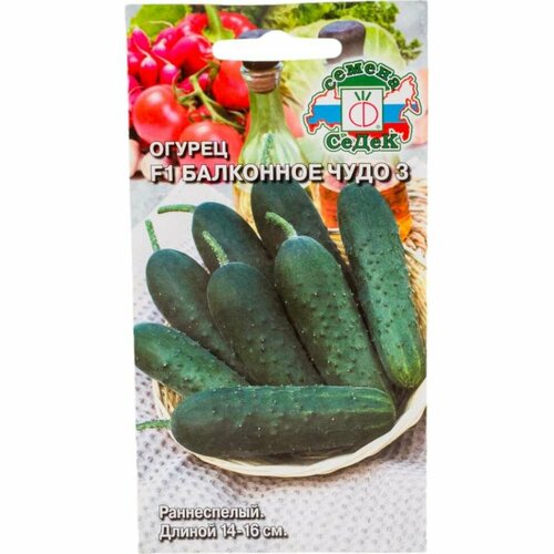 ������ ������ ������ ����� ��������� ���� 3 F1. ����, 0.2 I0000016210 ����