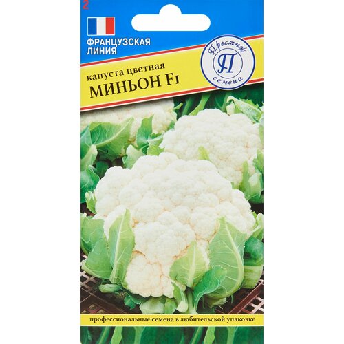 ������ ������ ������ ������� ������� ������ F1 10�� (�������) ����