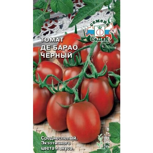 ������ ������ ����� �� ����� ������ (3 ��������), ������ ����