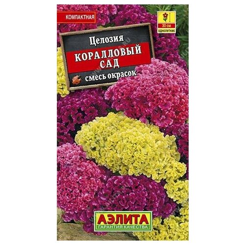 ������ ������ ������. ������� ����������� 