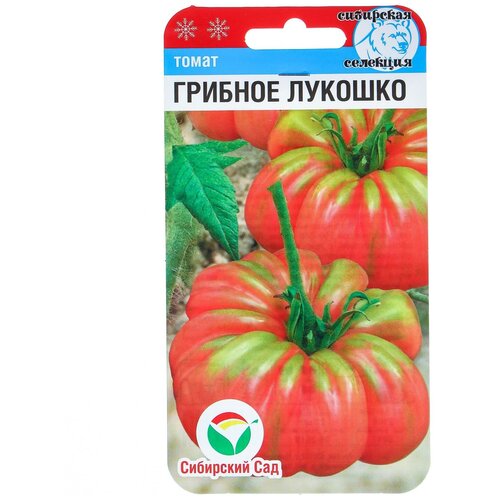 ������ ������ ������ ����� 