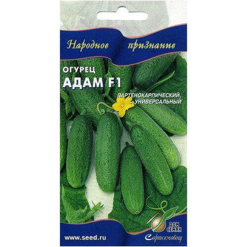 ������ ������ ������ ���� F1, 6 ����� ����