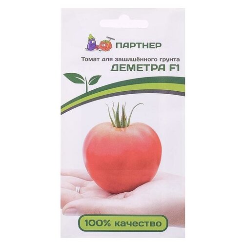 ������ ������ ������ ����� 