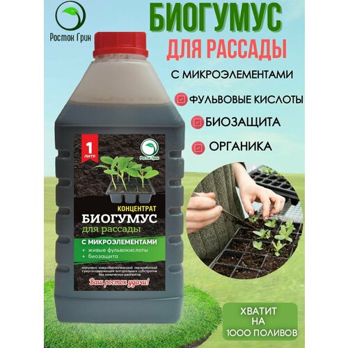 ������ ������ ��������� �������� � ��������������� ��� ������� ������ ���� ����