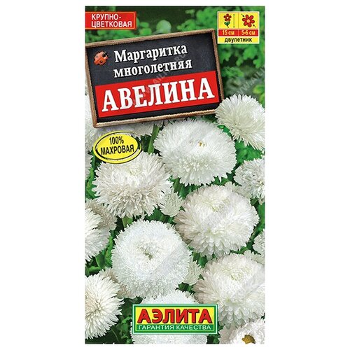 ������ ������ ���������� 