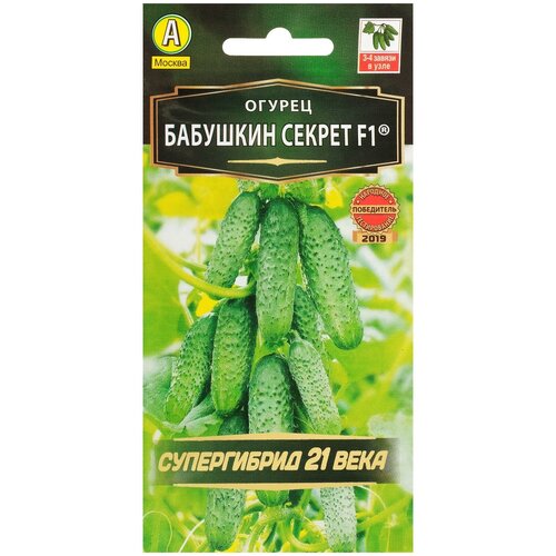 ������ ������ ������ ������ 