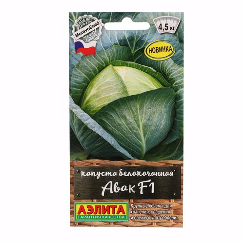 ������ ������ ������ ������� �/� ���� F1 --- � ���. ���. ���. 0,1� �/� ����