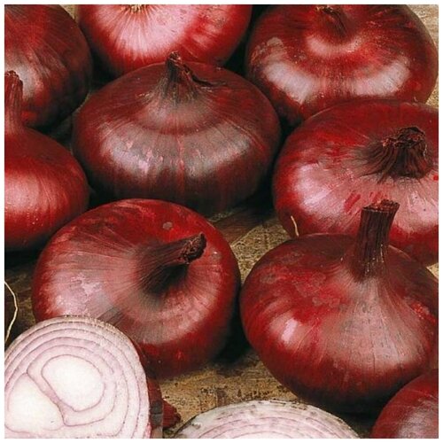 ������ ������ ������ ����� ��� �������� �������� 1 � ����