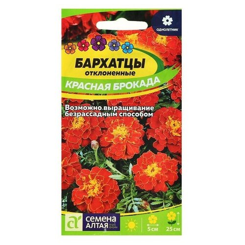 ������ ������ ������ ������ �������� 