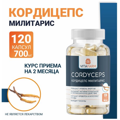 ������ ������ ��������� ��������� (Cordyceps militaris) ������� 120 ��/ 700 �� ����