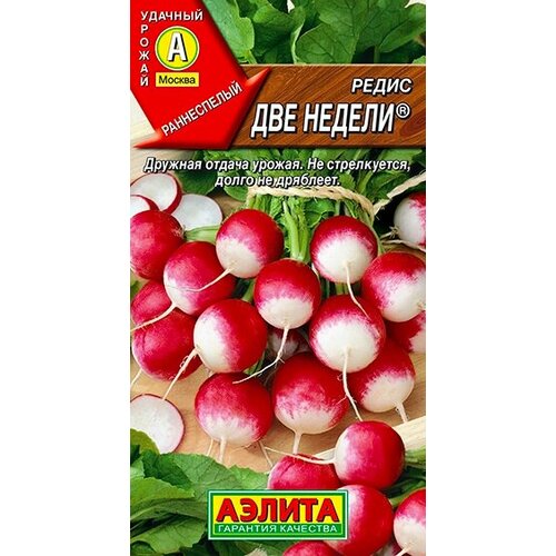 ������ ������ ������ ����� ��� ������ 2 ��. ����