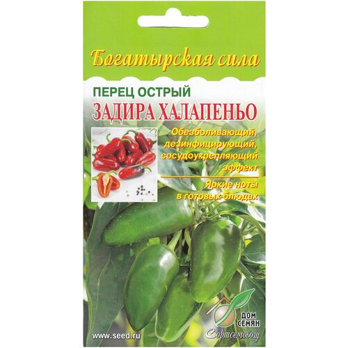 ������ ������ ����� ������ ������ ���������, 15 ����� ����