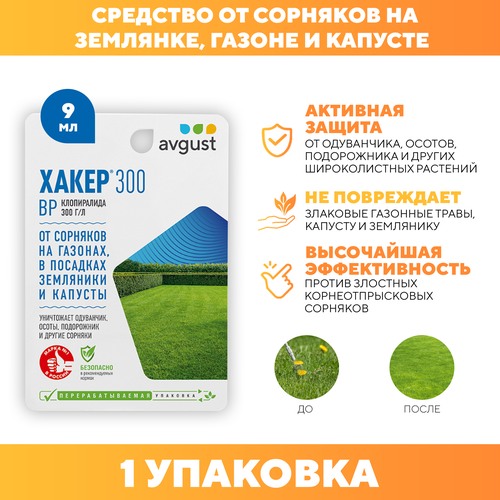 ������ ������ �������� �������� �� �������� �����-300, Avgust 9 �� 1 �� ����