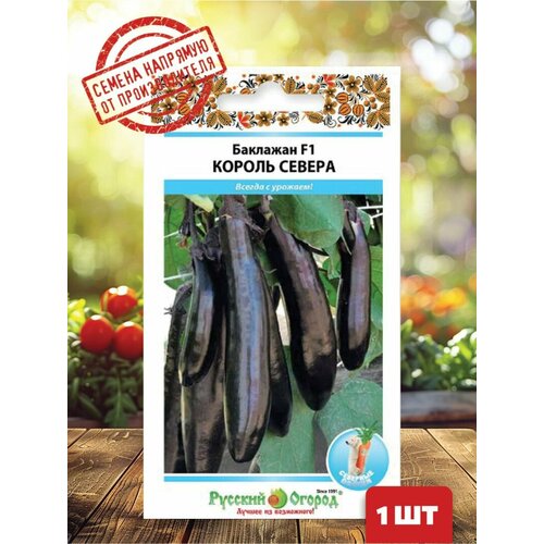 ������ ������ ������ �������� F1 ������ ������ ����