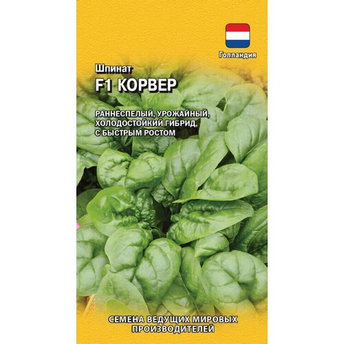 ������ ������ ������ ������ ������ F1, 1,0�, ������, ������� ������� ������������� ����