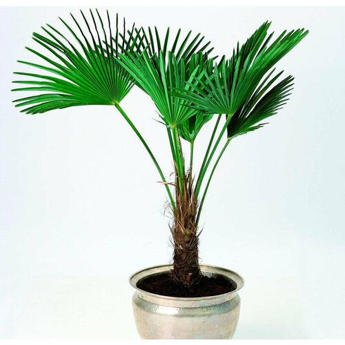 ������ ������ ������ ������ 5 �� ����������� ������� ������������� ������ ����