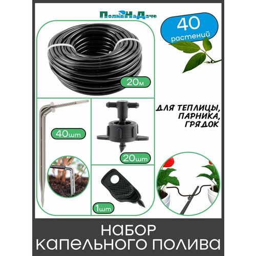 ������ ������ ����� ���������� ������ �� 40 �������� ��� �������, �������, ������ ����