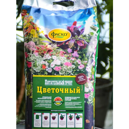 ������ ������ ����� ��� ������ ����� ������������ 25� ����