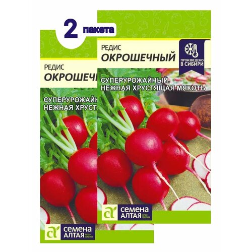 ������ ������ ������ ��������� ����� ����