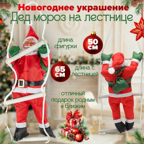 ������ ������ ��� ����� �� �������� 50 ��, 1 ��� �����, ����� ��������� � ��������� 65 �� ����