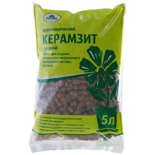 ������ ������ �������� Florizel 5 � ����