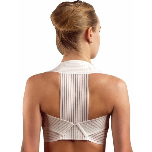 ������ ������ ���� ��������� ������, ���. ���, ������: M ����