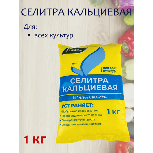 ������ ������ ��������� ������� ����������, 1 ��, 1 �������� ����