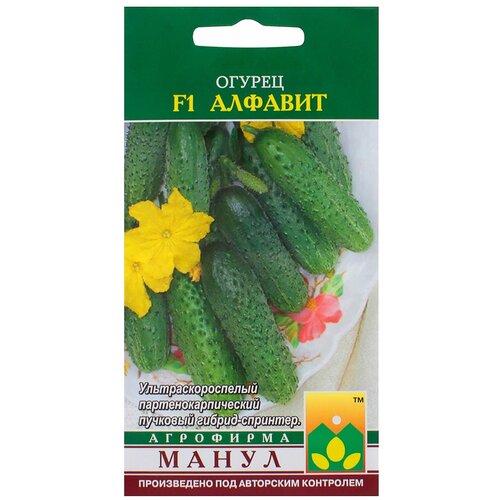 ������ ������ ������ ������ ������� F1 ����