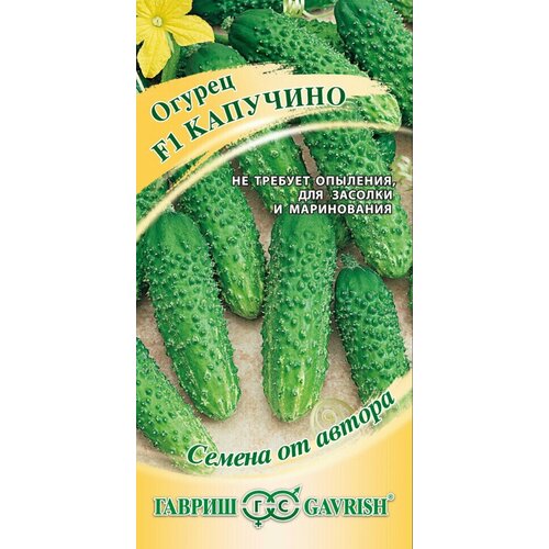 ������ ������ ������ ������ �������� F1, 10��, ������, ������ �� ������ ����