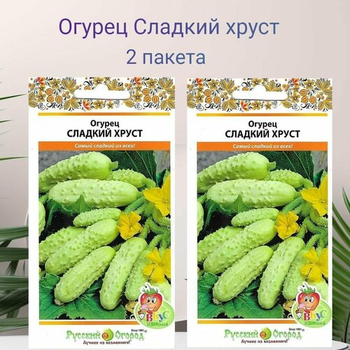 ������ ������ ������ ������� ����� 2 ������ �� 12�� ����� ����