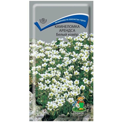 ������ ������ ������ ���������� ������� ����� ����� ����