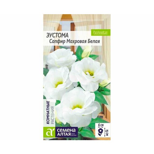 ������ ������ ������ ������� ������ F1 ����� �������� 5�� ���� 25�� (������ �����) ����